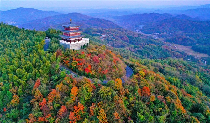 固始婚嫁网:见证城市爱情的甜蜜瞬间