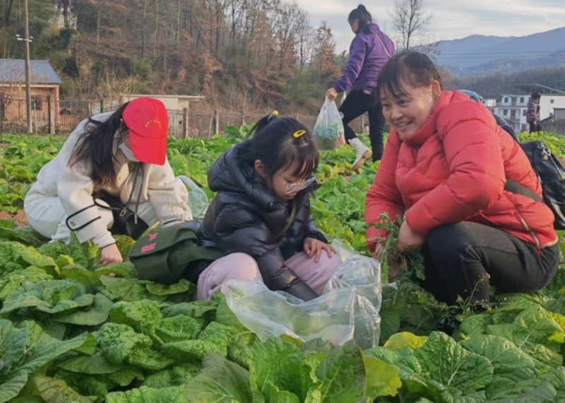 固始婚宴酒店选购指南:打造梦幻婚礼